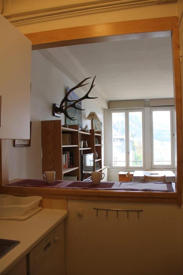 Large Studio In The Center Of Apartment Chamonix